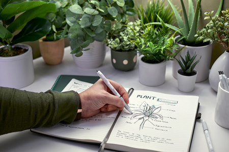 Sharpie S-GEL Długopisy żelowe Mix Kolorów 8 sztuk. - 2208551