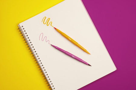 Flair Dual - pisaki z dwiema końcówkami mix kolorów 8szt. 2199386