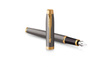 Pióro wieczne Parker IM Core Grey GT M - 2213777